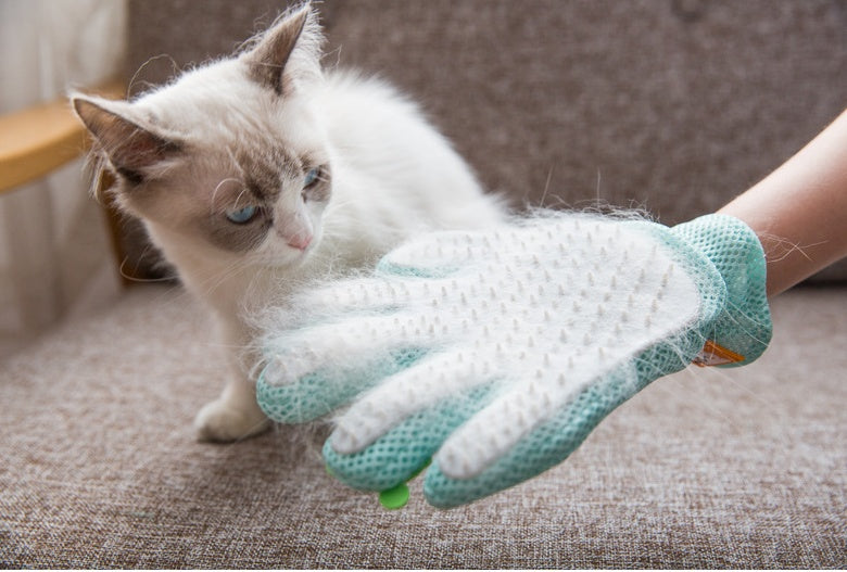 The Gentle Touch Grooming Glove