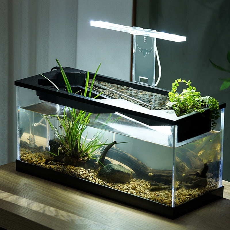 The Serenity Cube Aquarium